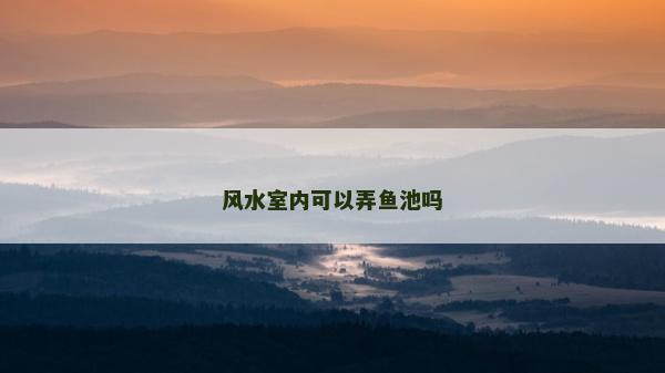 風水室內可以弄魚池嗎