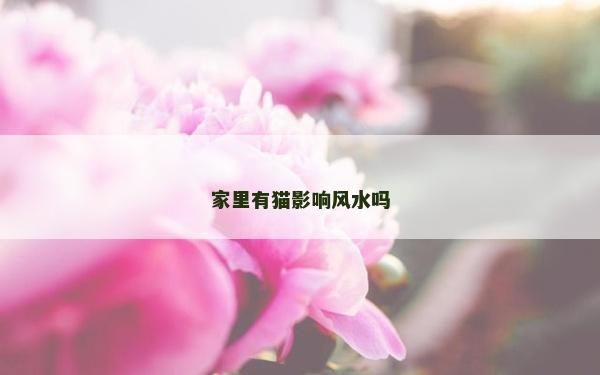 家里有貓影響風水嗎 家里有貓影響風水嗎