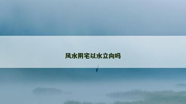 風水陰宅以水立向嗎