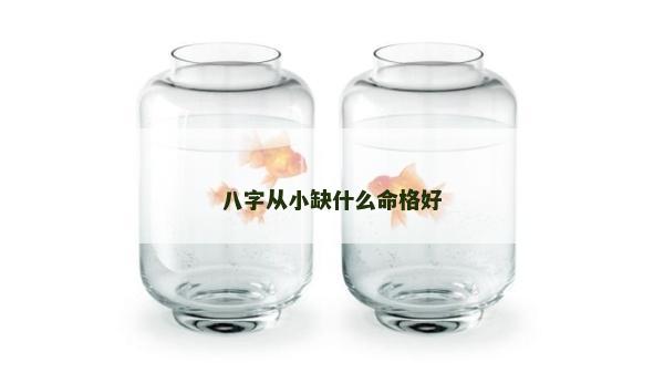 八字從小缺什么命格好