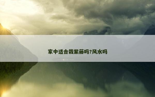 家中適合栽紫藤嗎?風水嗎