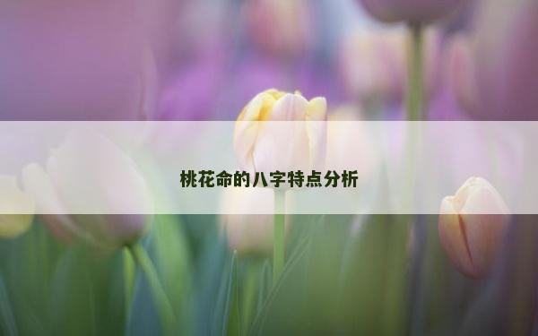 桃花命的八字特點分析