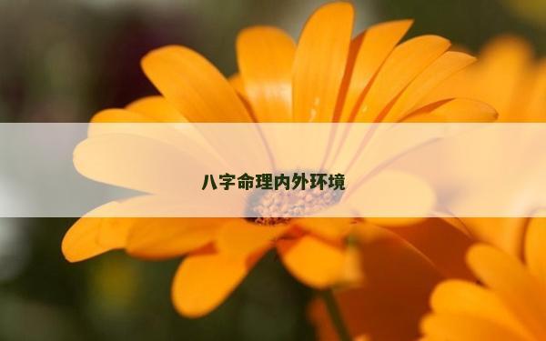 八字命理內外環境