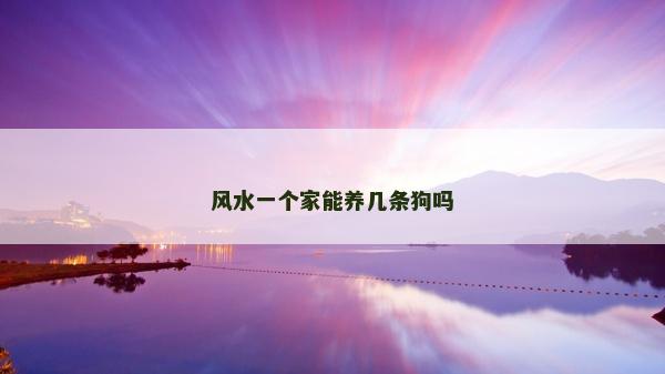風水一個家能養幾條狗嗎