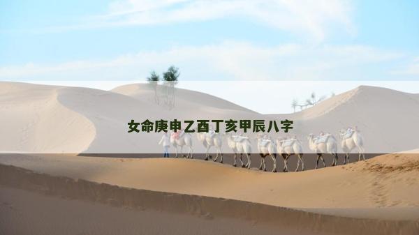 女命庚申乙酉丁亥甲辰八字