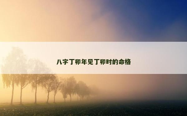 八字丁卯年見丁卯時的命格