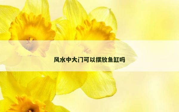風水中大門可以擺放魚缸嗎 風水中大門可以擺放魚缸嗎