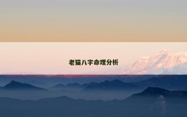 老貓八字命理分析