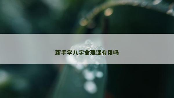 新手學八字命理課有用嗎