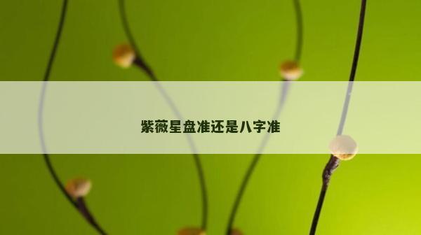 紫薇星盤準(zhǔn)還是八字準(zhǔn)