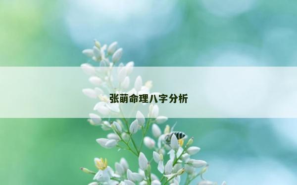 張萌命理八字分析