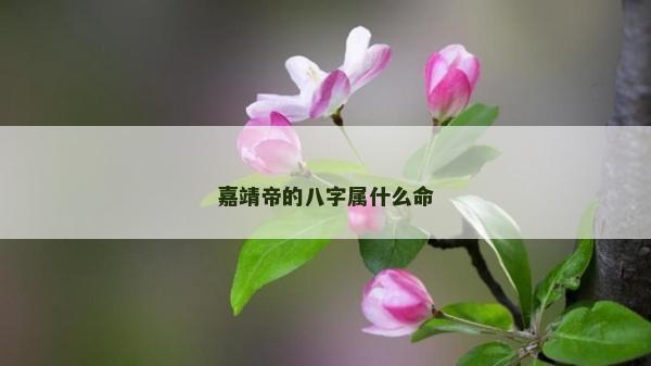嘉靖帝的八字屬什么命