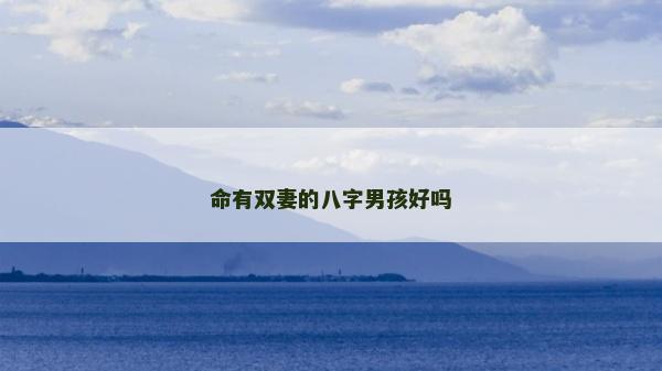 命有雙妻的八字男孩好嗎