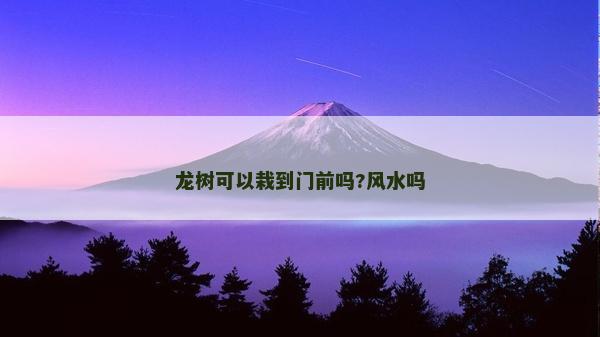 龍樹(shù)可以栽到門(mén)前嗎?風(fēng)水嗎