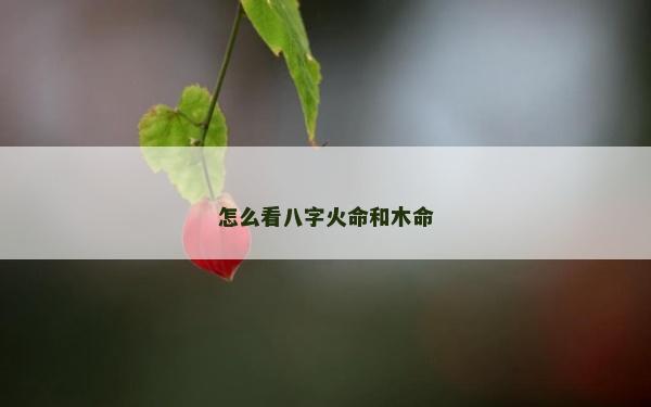 怎么看八字火命和木命