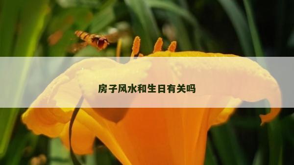 房子風水和生日有關嗎