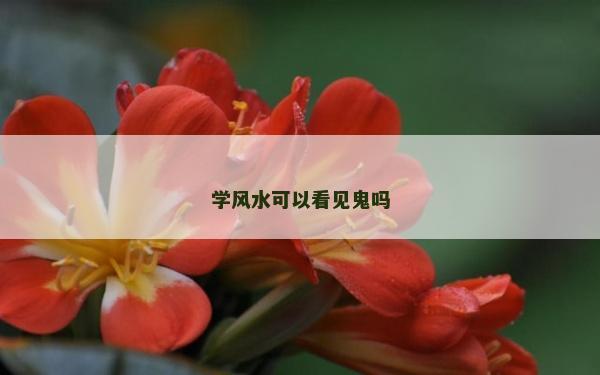 學風水可以看見鬼嗎