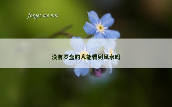 沒有羅盤的人能看到風水嗎