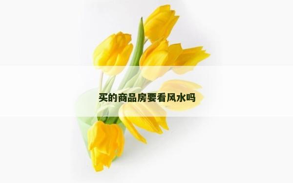 買的商品房要看風水嗎