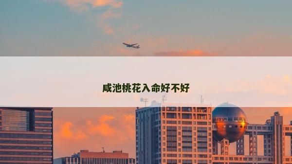 咸池桃花入命好不好