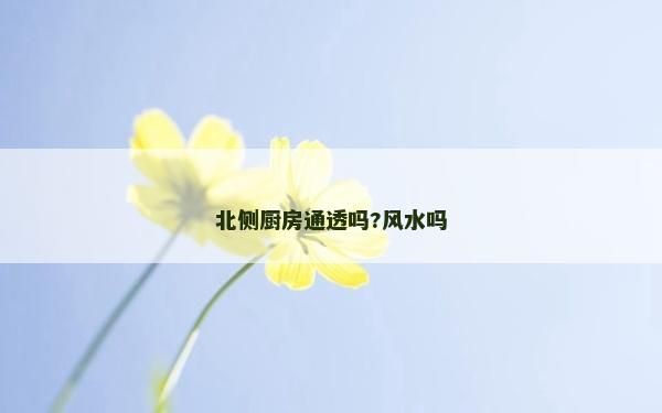 北側廚房通透嗎?風水嗎