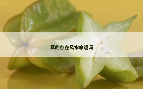 真的存在風水命運嗎