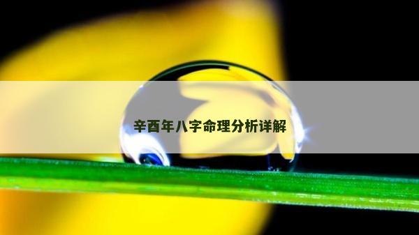 辛酉年八字命理分析詳解