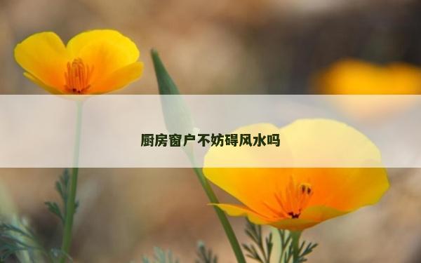 廚房窗戶不妨礙風水嗎