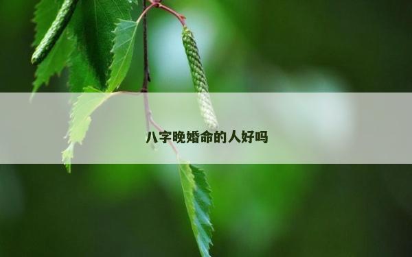八字晚婚命的人好嗎
