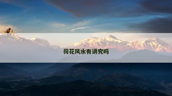 荷花風水有講究嗎