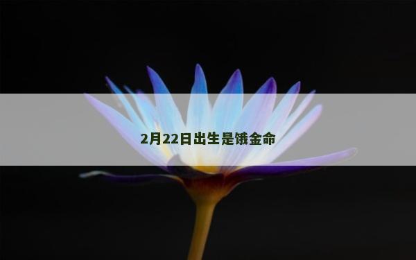 2月22日出生是餓金命