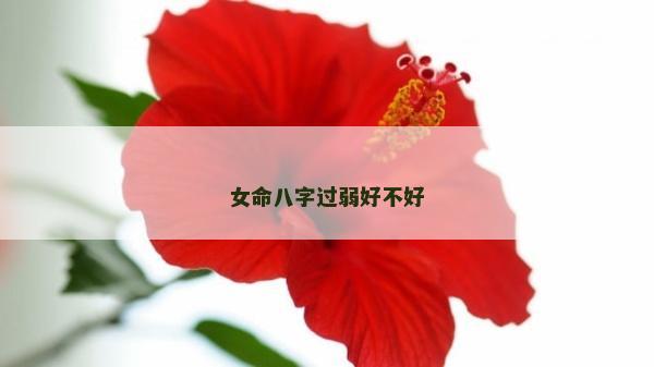 女命八字過弱好不好