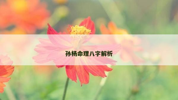 孫楊命理八字解析