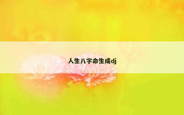 人生八字命生成dj