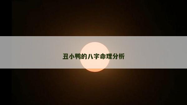 丑小鴨的八字命理分析