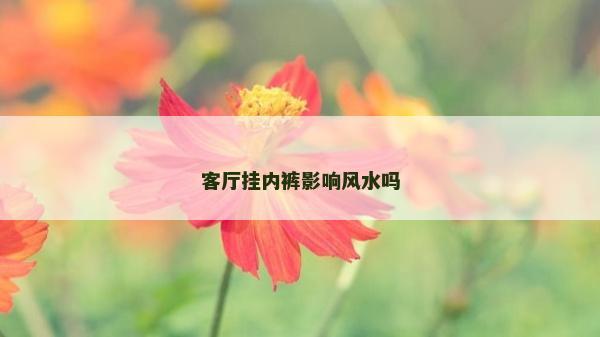 客廳掛內褲影響風水嗎