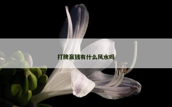 打牌贏錢有什么風(fēng)水嗎