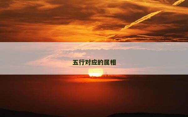五行對應的屬相