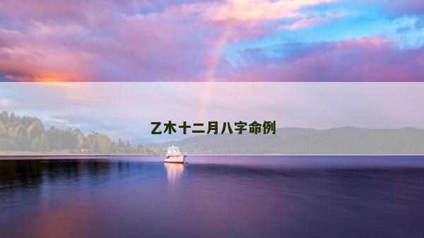 乙木十二月八字命例