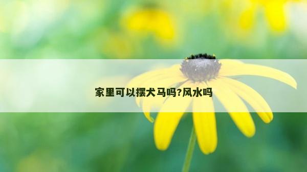 家里可以擺犬馬嗎?風(fēng)水嗎