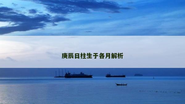 庚辰日柱生于各月解析