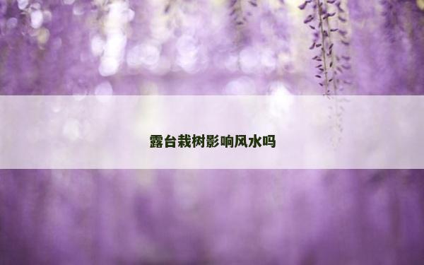 露臺栽樹影響風水嗎