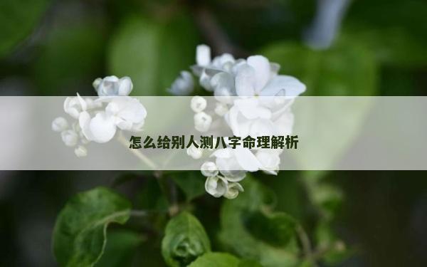 怎么給別人測八字命理解析