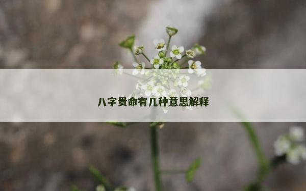 八字貴命有幾種意思解釋