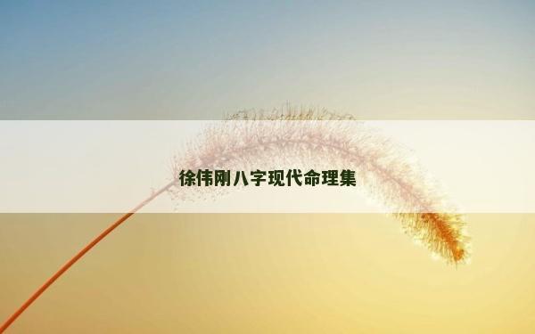 徐偉剛八字現(xiàn)代命理集