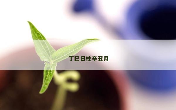 丁巳日柱辛丑月