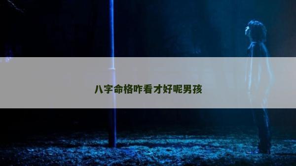 八字命格咋看才好呢男孩