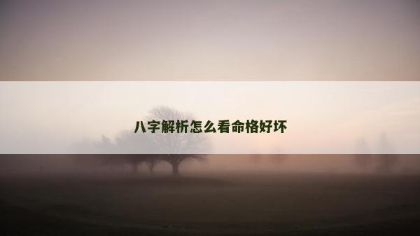 八字解析怎么看命格好壞
