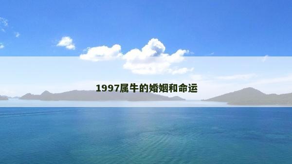 1997屬牛的婚姻和命運