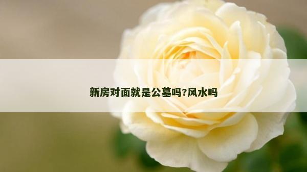 新房對面就是公墓嗎?風水嗎